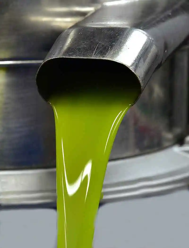 Olive oil from olives