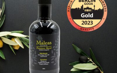 Χρυσό βραβείο για δεύτερη διαδοχική χρονιά στον Διεθνή Διαγωνισμό του Βερολίνου