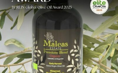 Χρυσό βραβείο στον Διεθνή Διαγωνισμό Βερολίνου 2025